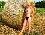 Hello i like sex andv  fun....