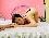Anal play and deep throat. You can find me here every day from 7 AM to 2 PM Colombian time.
